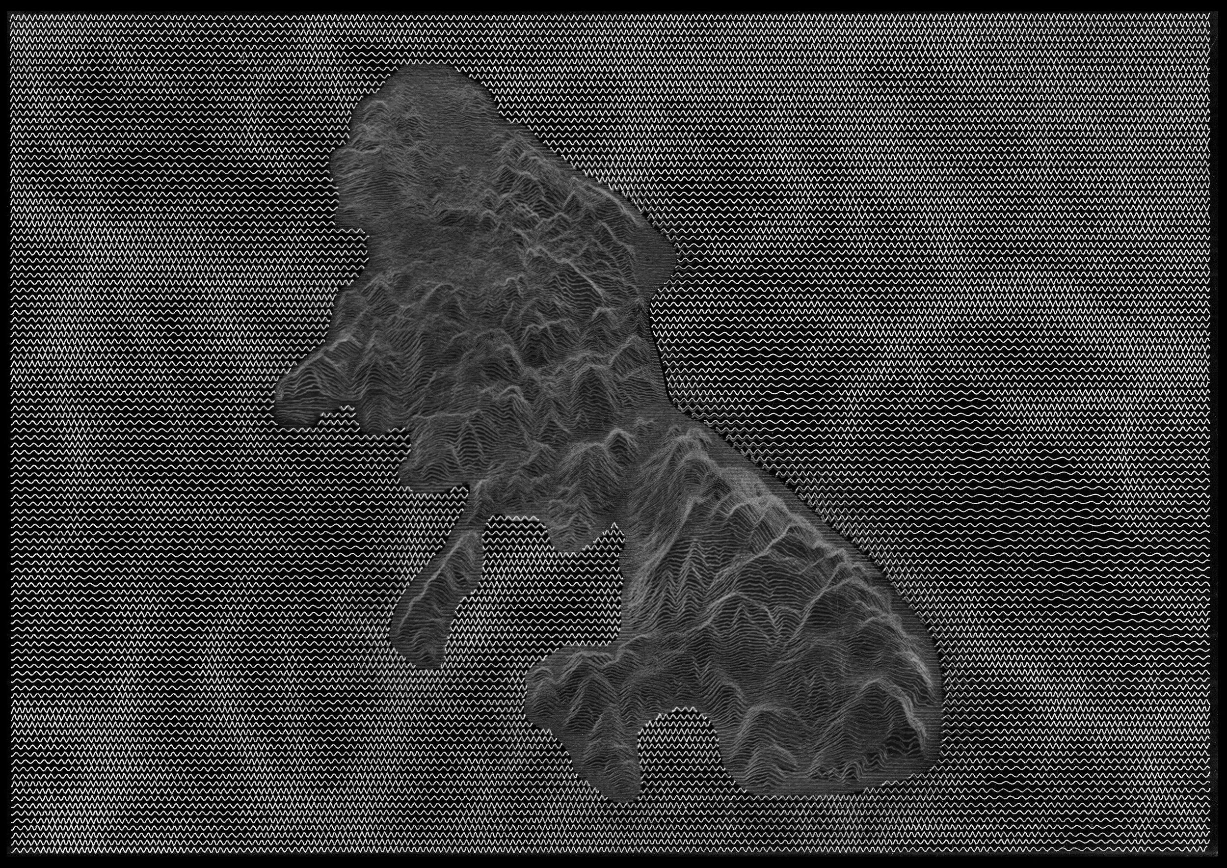 "OMOTETIA DEL PAESAGGIO #7"