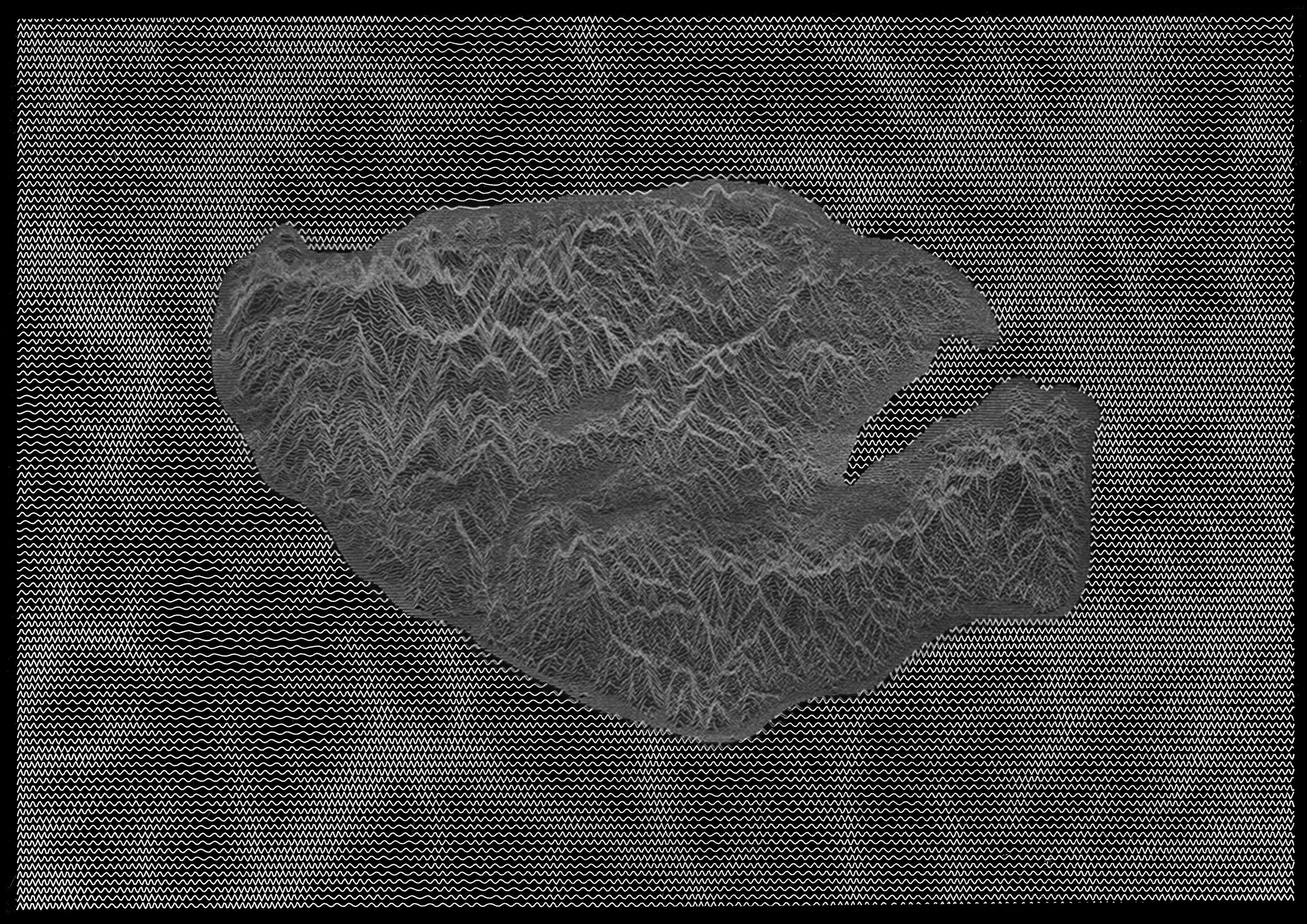 "OMOTETIA DEL PAESAGGIO #8"